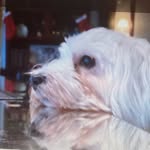 John Nowak - @nowak_john - Instagram
