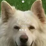 John mc nulty - @john.mc1971 - Instagram