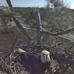 John Nuzzi - @jnuzzi562 - Instagram