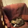John Nyhan - @john.nyhan0 - TikTok