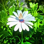 @johnnys_eye_photos - Instagram