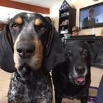 John Oakes - @thejoakesonyou - Instagram