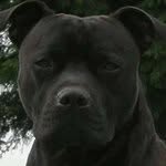 Johnoblade - @john_demon_osborne_ - Instagram