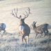 John OBrien - Facebook