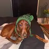 John O’Donnell - @johnod189 - TikTok