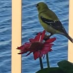 John Oertel - Facebook