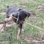John Oertel - Facebook