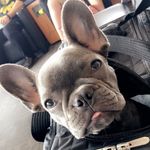 John Ogden - @johnogden17 - Instagram