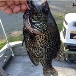 John Ogle - @bass_assassin_99 - Instagram