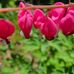 John Ogle - Facebook
