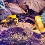 John Ogle - @13ogle - Instagram