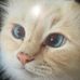 John Olander - Facebook