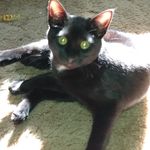 John Olander - @mysisterisnamedpanda - Instagram