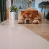 John Oler - @john.oler8 - TikTok