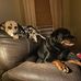 John Oley - Facebook