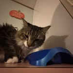 John Olson - @johnolson.6094 - Instagram