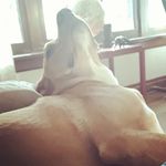 John Oneil - @its__johnn__ - Instagram