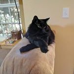 John Ordway - @ordway.john - Instagram