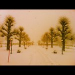 John Ordway - @upangurisserene - Instagram