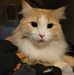 John Organ - Facebook