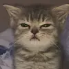 John John Oros875 - @johnoros012 - TikTok