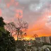 John Orr - @john.orr12 - TikTok