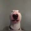 user4206220925320 - @johnhorten4 - TikTok