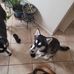 John Ortmann - Facebook