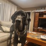 John Norvis - @norvisjohn - Instagram