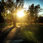 John Orzechowski - @meshiera - Instagram