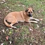 John Osler - @osler_john - Instagram