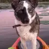 johnostendorf71 - @johnostendorf71 - TikTok