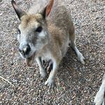 John Ostlund - @jostlund55 - Instagram