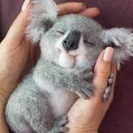 @John - @john_osuna - Instagram
