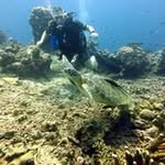 John Ottenheijm - @johnottenheijm - Instagram