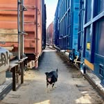 John Pablo - @pablo_isnotpicasso - Instagram
