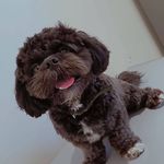 Jay Jay - @john.packco - Instagram