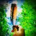 John Pack - Facebook