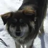 John Pachkowski - @johnpachkowski - TikTok