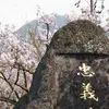 John Pai - @john.pai2 - TikTok