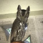 John paige - @johnpaige2 - Instagram