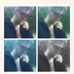 John Paige - Facebook