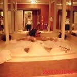 John Palazzo - @palazzoj63 - Instagram