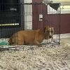 John Palazzolo - @john.palazzolo0 - TikTok