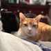 John Palmgren III - Facebook