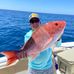 John Palmisano - Facebook
