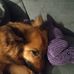 John Pangborn - Facebook