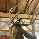 John Panik - @johnpanik - Instagram