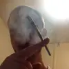 Johny Papes - @johnypapes - TikTok