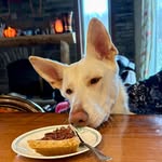 John Pardee - @johnnypar1961 - Instagram